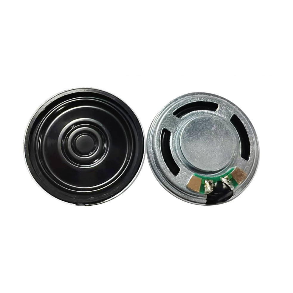 Mylar Speaker