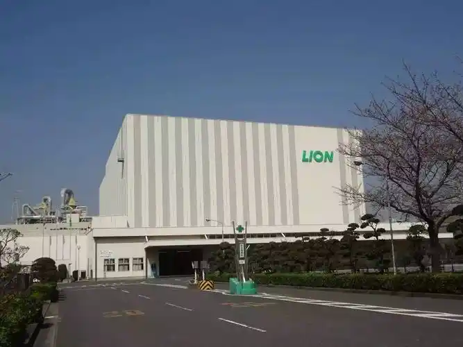 LION (Japan) Children's Electric Toothbrush
